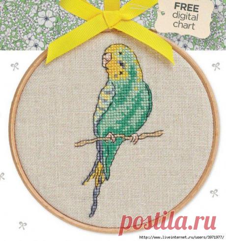 Скачать схемы вышивки крестом. Вышивка крестом попугаи | Все о рукоделии: схемы, мастер классы, идеи на сайте labhousehold.com