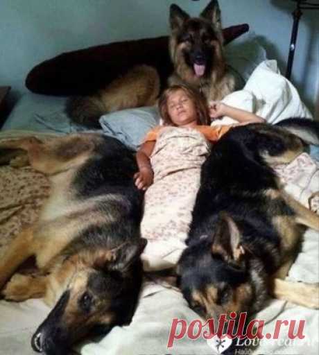 ✔ Знакомства для серьезных отношений ➡   love-real.ru       
.