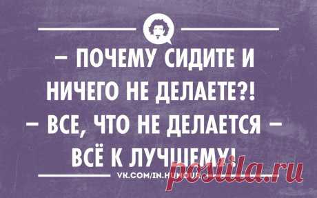 Почему сидите и ничего не делаете? | thePO.ST