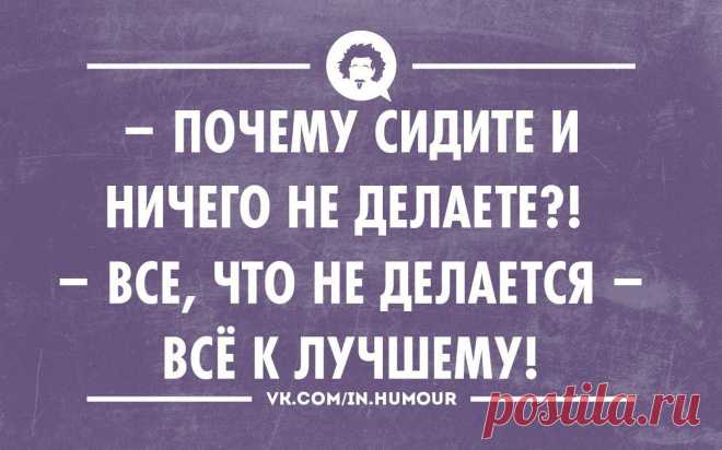 Почему сидите и ничего не делаете? | thePO.ST