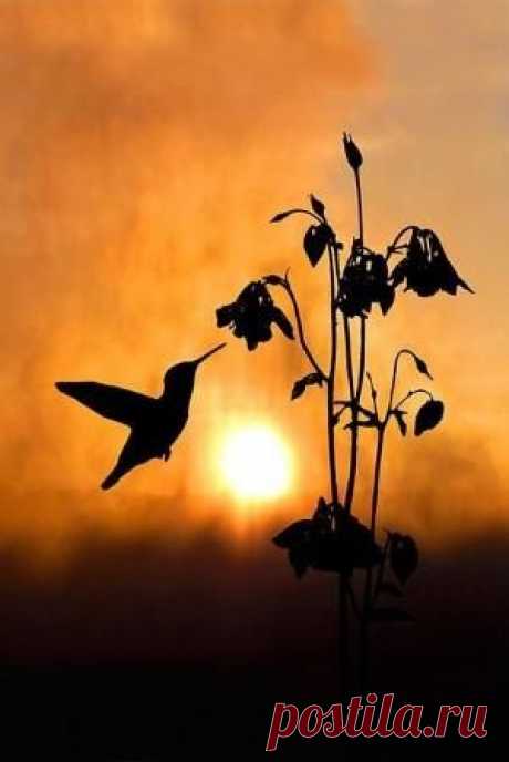 thirty seconds till sunrise.