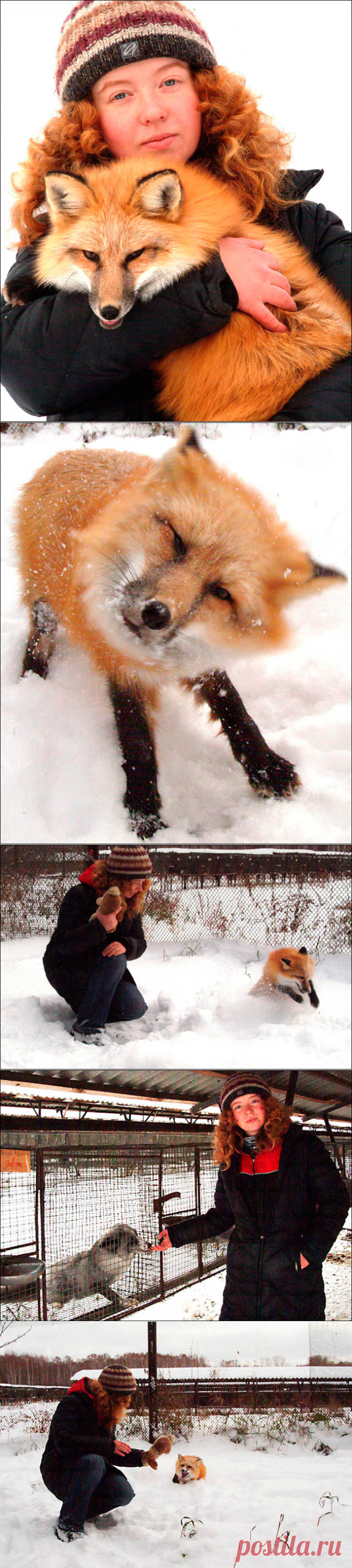 Дрессировщица лис