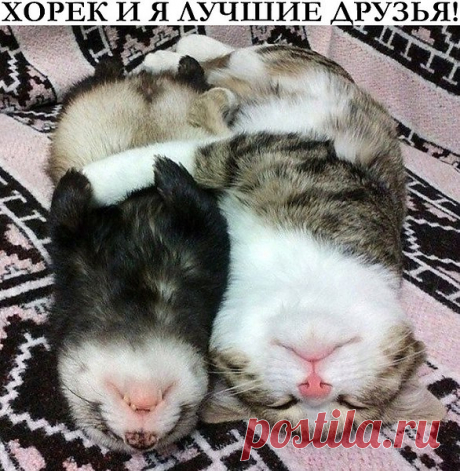 Интересные новости