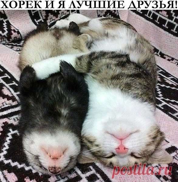 Интересные новости
