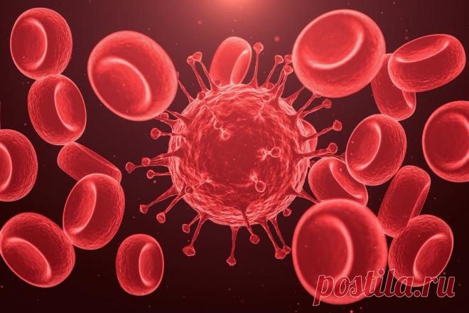 COVID-19 может оказаться заболеванием сосудов, и это всё объяснит - ПолонСил.ру - социальная сеть здоровья - медиаплатформа МирТесен