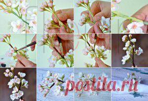 Цветок вишни из полимерной глины. Мастер класс. | Творческие мастер-классы по рукоделию и кулинарии.