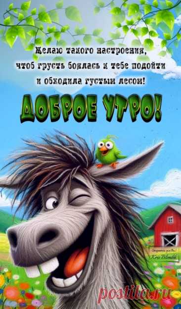 Выпуск №6478 - выпуск анекдотов сайта вокруг смеха