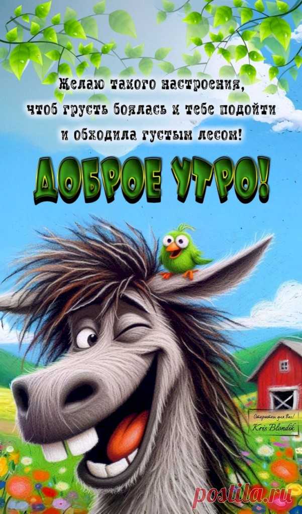 Выпуск №6478 - выпуск анекдотов сайта вокруг смеха