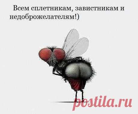 (1) Одноклассники