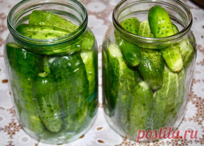 Бродячие огурцы (делаю много банок и снова благодарю того, кто дал рецепт) | ВсегдаГотово! | Яндекс Дзен