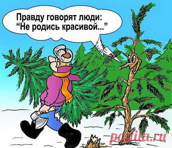 Интересные новости