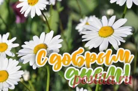 С добрым днем