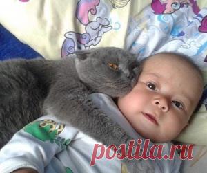 Моя семья. Счастлив тот, кто счастлив у себя дома!