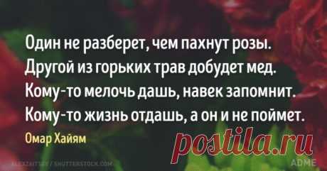 20 изречений Омара Хайяма, в которых поймана вся суть жизни