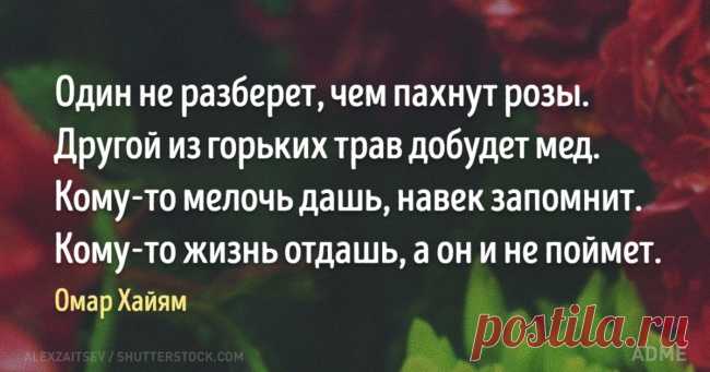 20 изречений Омара Хайяма, в которых поймана вся суть жизни