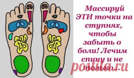 Массируй ЭТИ точки на ступнях, чтобы забыть о боли! Лечим спину и не только…
Рефлекторный массаж стоп — полезная и до безобразия приятная процедура, которая опирается на то, что каждый орган или зона человеческого организма имеет свою рефлекторную зону на стопе. Регулярный массаж стоп проводят как с профилактической целью, так и для устранения различных проблем со здоровьем.
Рефлекторный массаж