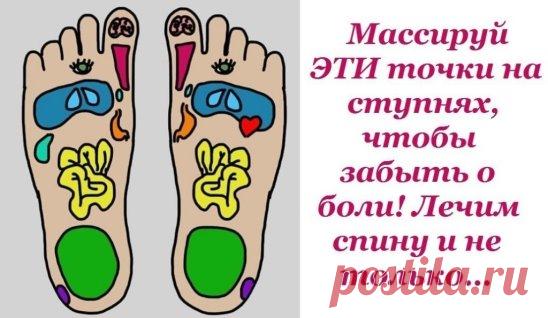 Массируй ЭТИ точки на ступнях, чтобы забыть о боли! Лечим спину и не только…
Рефлекторный массаж стоп — полезная и до безобразия приятная процедура, которая опирается на то, что каждый орган или зона человеческого организма имеет свою рефлекторную зону на стопе. Регулярный массаж стоп проводят как с профилактической целью, так и для устранения различных проблем со здоровьем.
Рефлекторный массаж