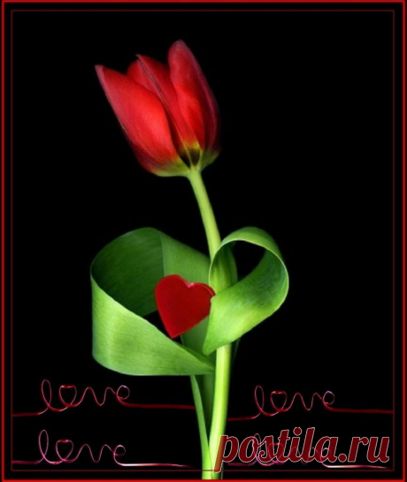 Плейкаст «С днём Влюблённых! С днём Любимых!»