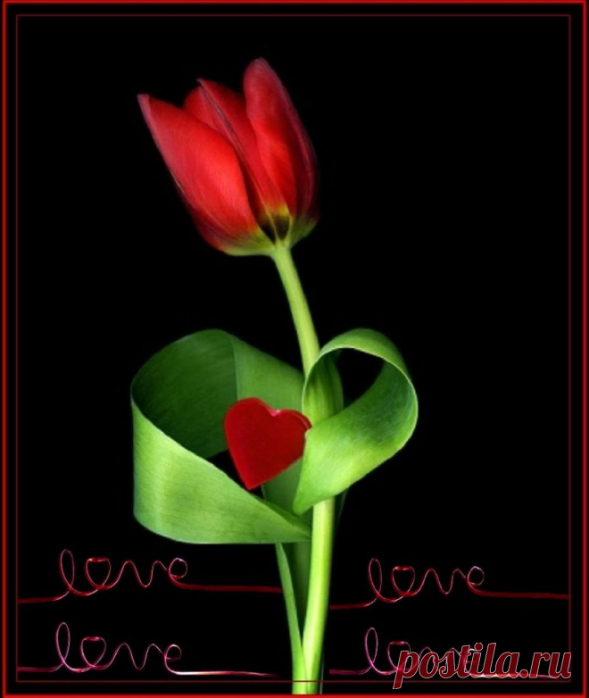 Плейкаст «С днём Влюблённых! С днём Любимых!»