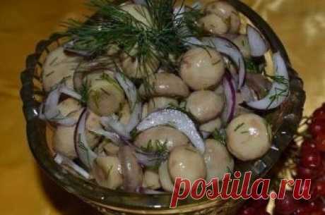 МАЛОСОЛЬНЫЕ ШАМПИНЬОНЫ на скорую руку — мировой рецептик!