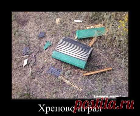 Демотиваторы - приколы