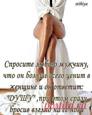 Позитив на все 100% ! | ОБОРЖАКА ;)
