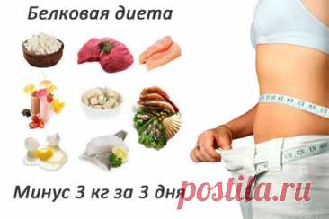 Белковая диета «Минус 3 за 3» — Моя кухня