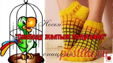 Короткие носочки спицами. &quot;Свободу желтым попугаям&quot;.