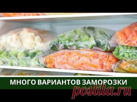 🍆Заморозка Овощей на Зиму 🍅 Заморозка Полуфабриктов на месяц