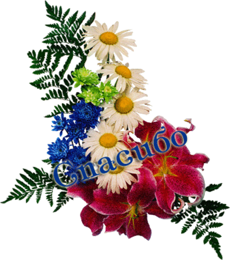 Секреты выращивания помидор