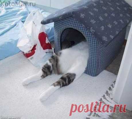 Когда меняются привычки)
