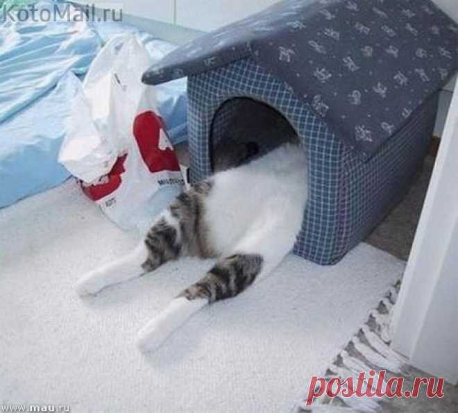 Когда меняются привычки)