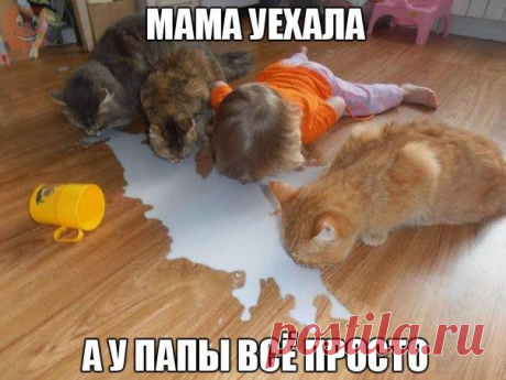 Подборка для отличного настроения | Домашняя аптечка