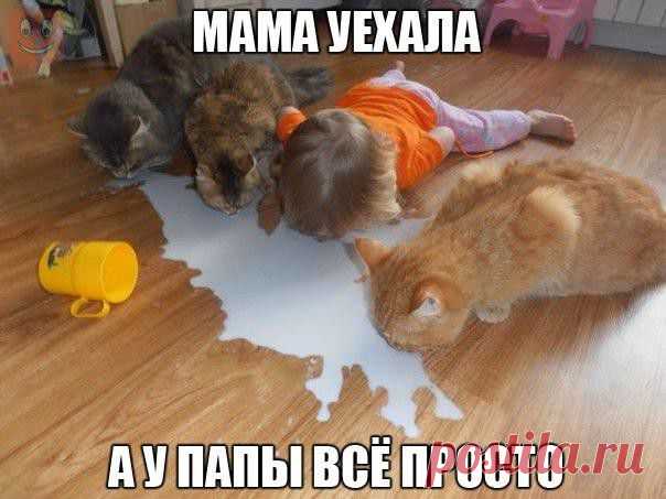 Подборка для отличного настроения | Домашняя аптечка