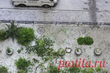 17. 07. 2015г. Санкт Петербург