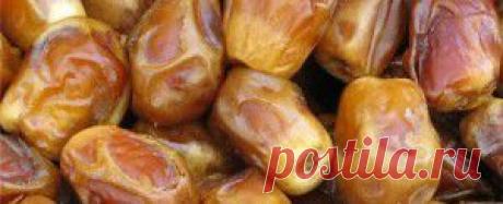 Финики — полезные свойства, польза и вред фиников