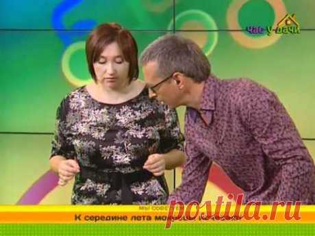 Как защититься от комаров | sadok33.ru