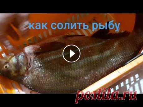 #каксолитьлеща Как Засолить Рыбу Леща!Вкусная солёная рыба,так солим всегда,результат отличный! #какзасолитьлеща СОЛИМ ЛЕЩА// Солить нужно хорошо,особенно в жабрах,но не переусердствуйте,каждый день в течении недели придавливать пресс чтоб вышел ...
