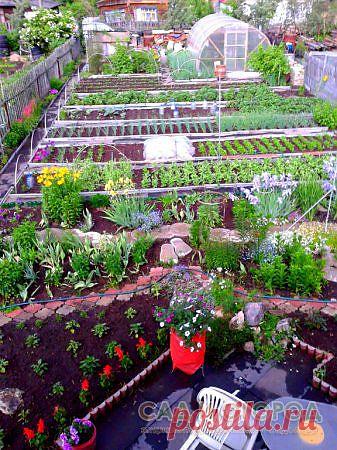 Как оптимально использовать свои шесть соток?