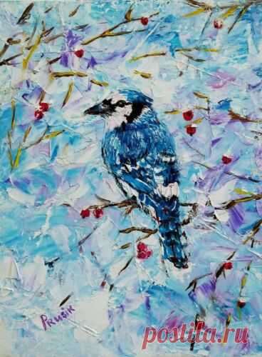 голубая сойка