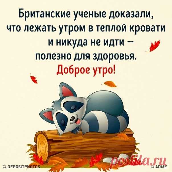 17 советов для всех, кому трудно вставать по утрам: goo.gl/hHAikW