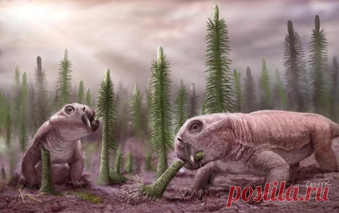 10 природных явлений на Земле, которые мы не понимаем