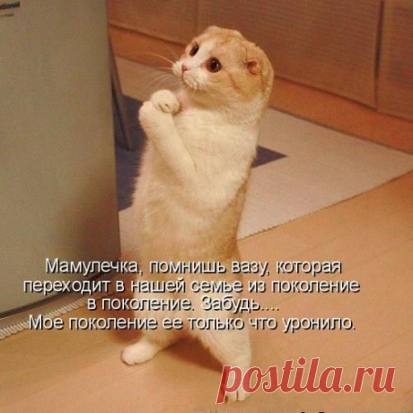 Не виноватая я ...