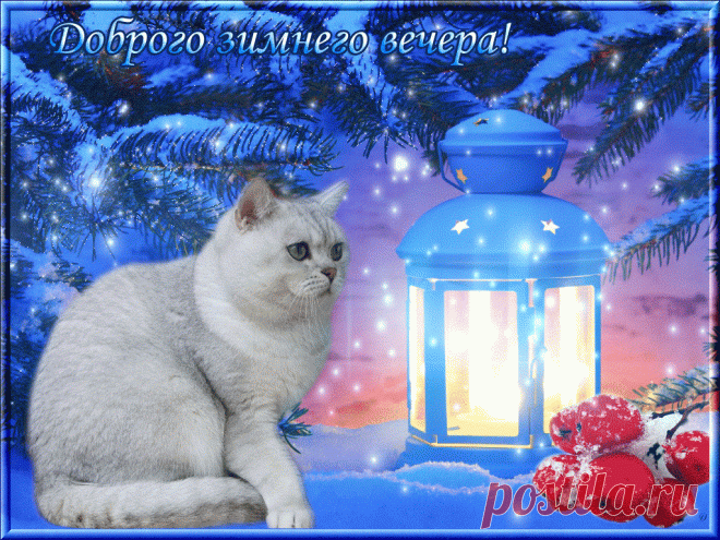 *** ДОБРОГО ЗИМНЕГО ВЕЧЕРА !!! *** ~ Плэйкасты ~ Beesona.Ru