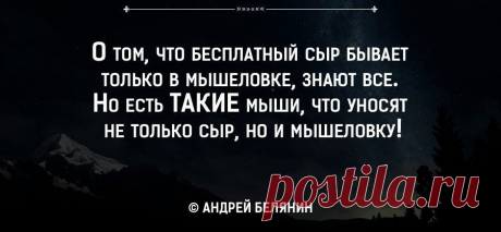 О том, что бесплатный сыр бывает только в мышеловке, знают все. Но есть ТАКИЕ мыши, что уносят не только сыр, но и мышеловку! | Мир позитивных новостей
