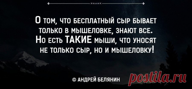 О том, что бесплатный сыр бывает только в мышеловке, знают все. Но есть ТАКИЕ мыши, что уносят не только сыр, но и мышеловку! | Мир позитивных новостей