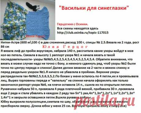 описание Василька.jpg