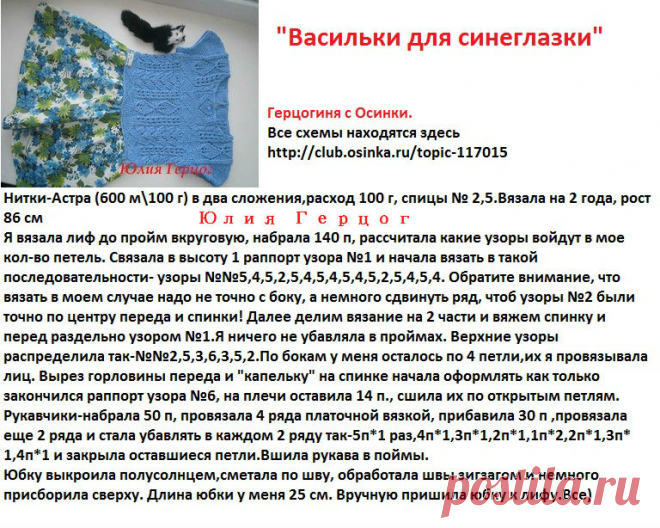 описание Василька.jpg