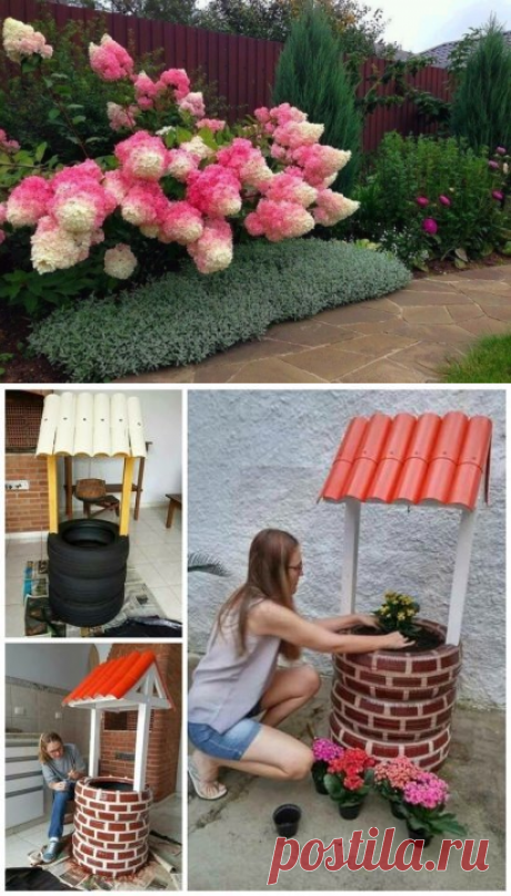 (46) Одноклассники