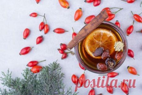 Чем полезен отвар шиповника и как его правильно заваривать — Идеальное решение!